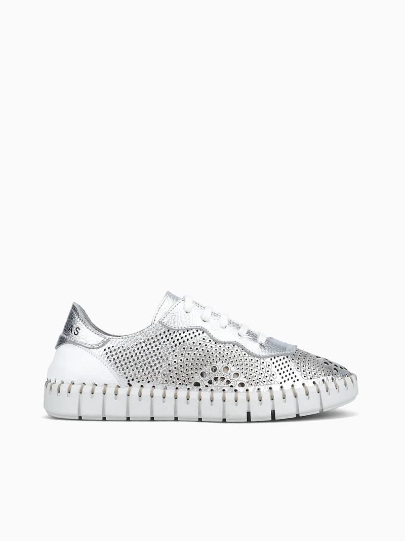 28903 Plata Shimmer
