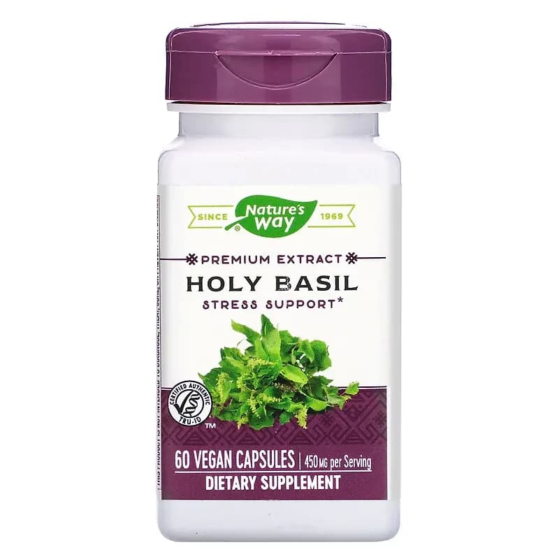 Holy Basil (Tulsi)
